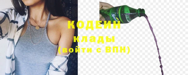 хмурый Абаза