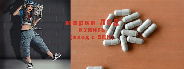 хмурый Абаза
