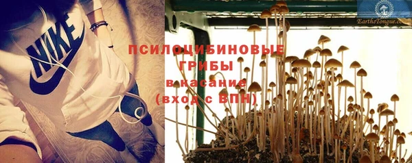 твердый Коряжма