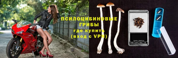 стафф Абинск