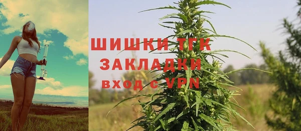 сатива Абдулино