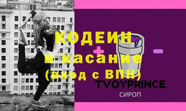 хмурый Абаза