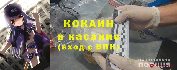 хмурый Абаза