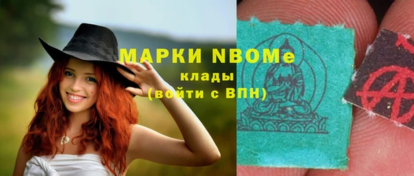 хмурый Абаза
