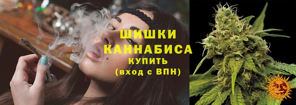 сатива Абдулино